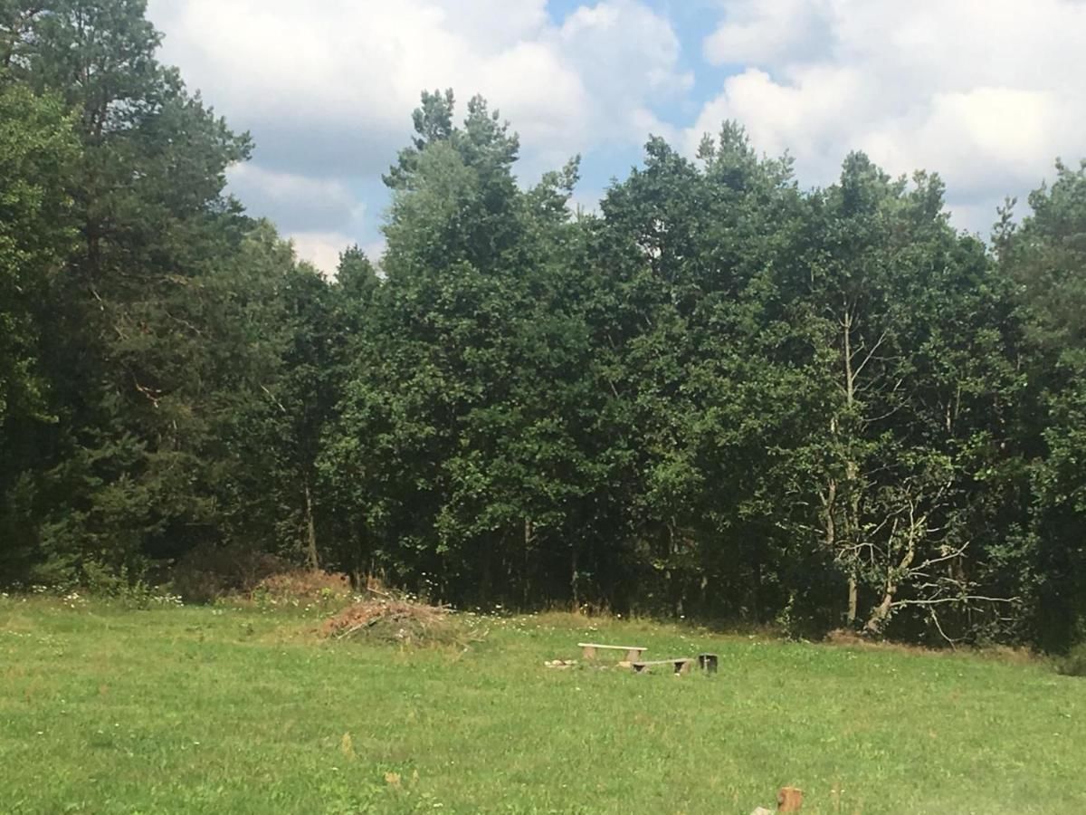 Проживание в семье Leśny Dworek Niepoczołowice-10
