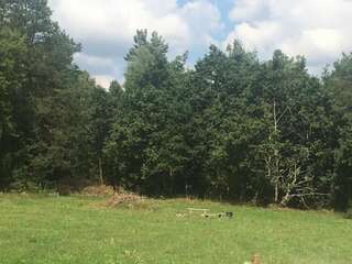 Проживание в семье Leśny Dworek Niepoczołowice-6